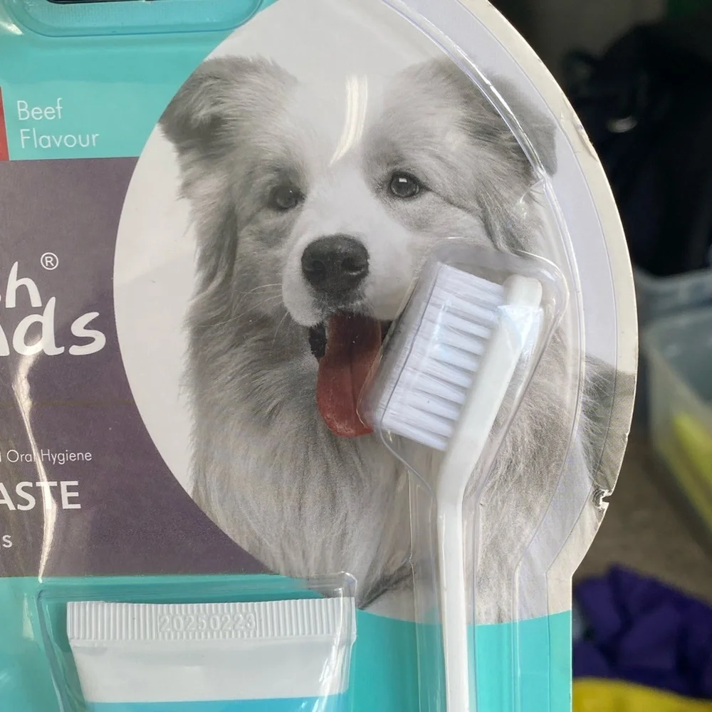 Fresh Friends Dog Tooth Brushing Kit Beef Flovour
